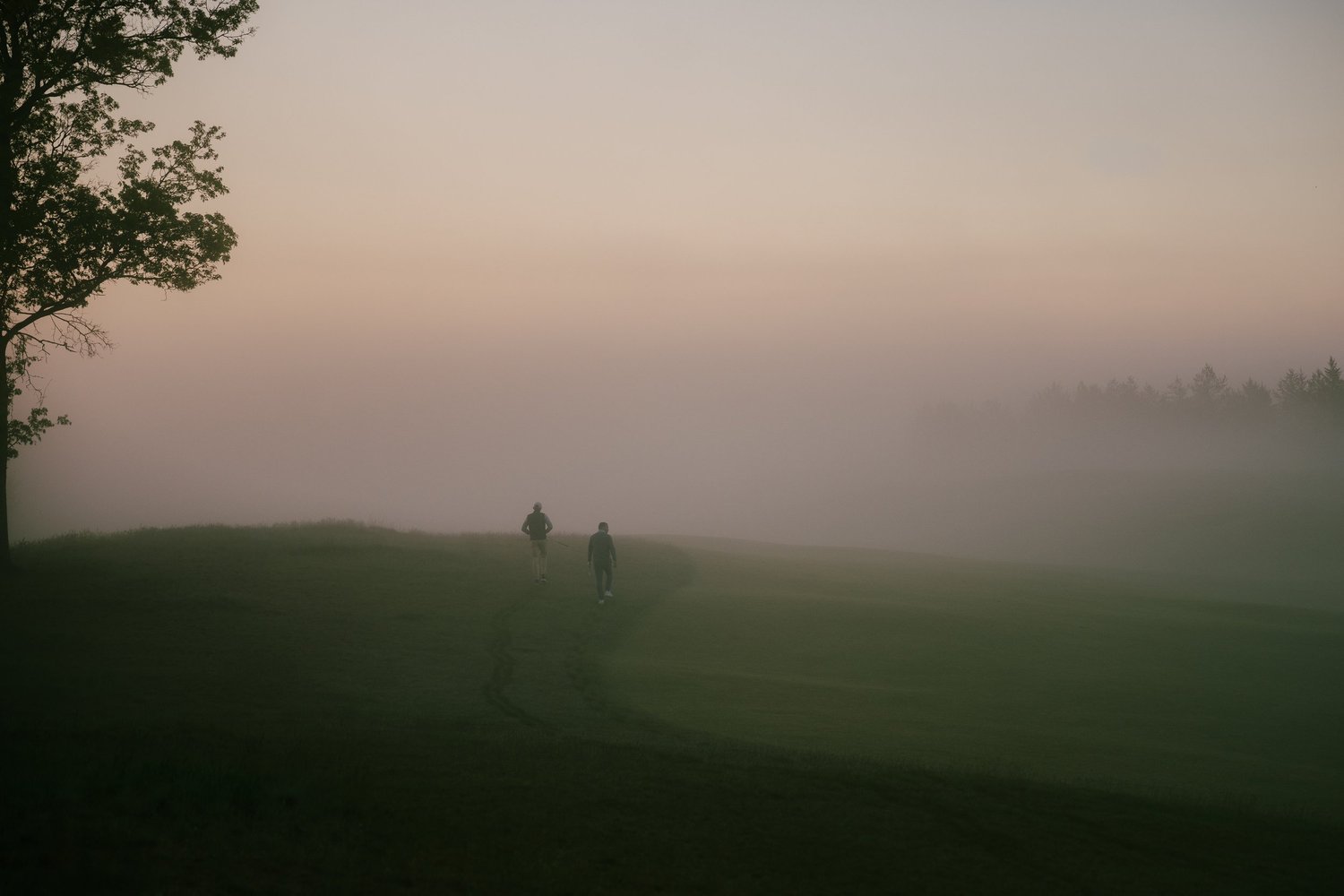 Fairway in the fog